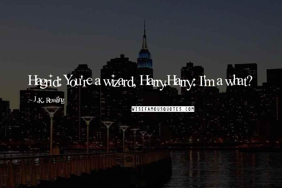 J.K. Rowling Quotes: Hagrid: You're a wizard, Harry.Harry: I'm a what?