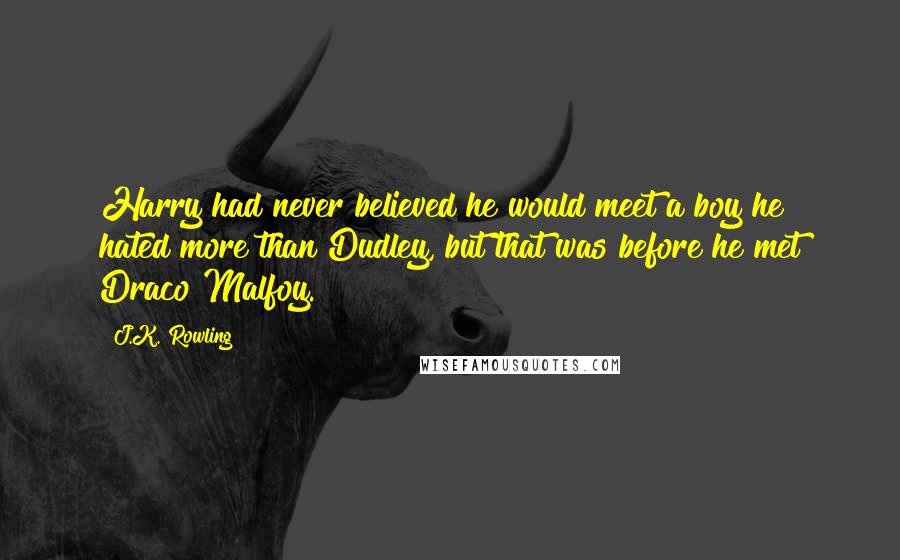 J.K. Rowling Quotes: Harry had never believed he would meet a boy he hated more than Dudley, but that was before he met Draco Malfoy.