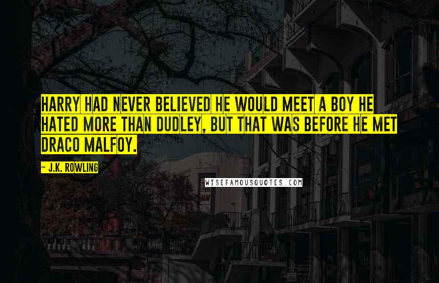 J.K. Rowling Quotes: Harry had never believed he would meet a boy he hated more than Dudley, but that was before he met Draco Malfoy.