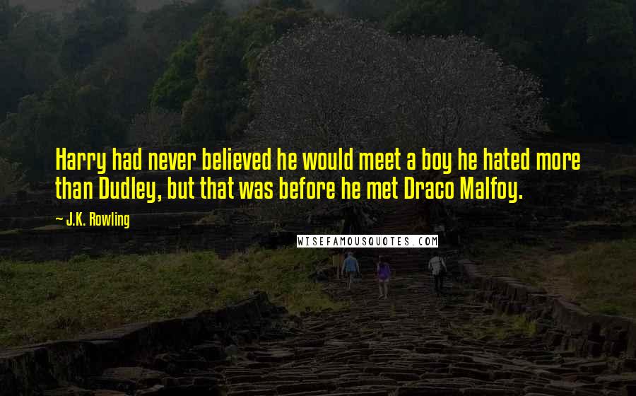 J.K. Rowling Quotes: Harry had never believed he would meet a boy he hated more than Dudley, but that was before he met Draco Malfoy.