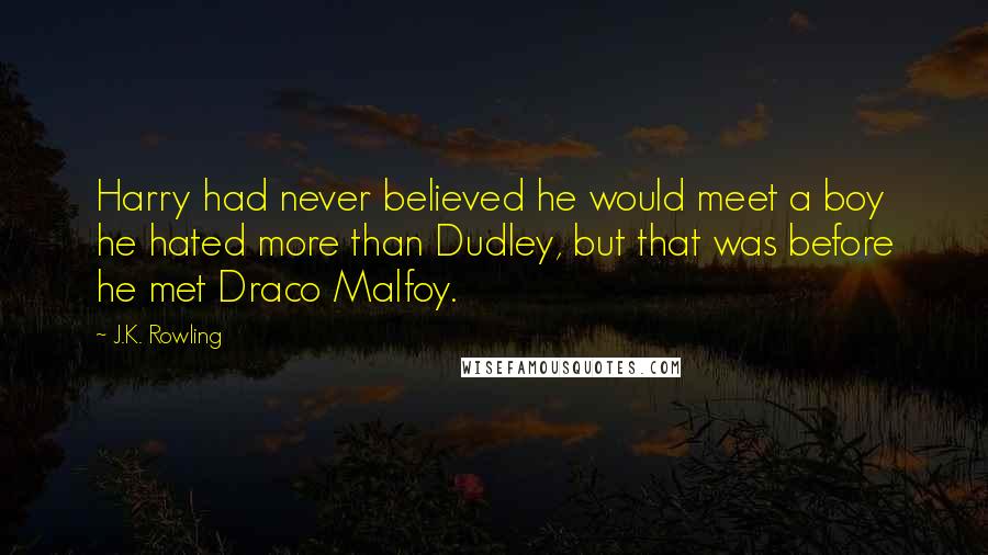 J.K. Rowling Quotes: Harry had never believed he would meet a boy he hated more than Dudley, but that was before he met Draco Malfoy.