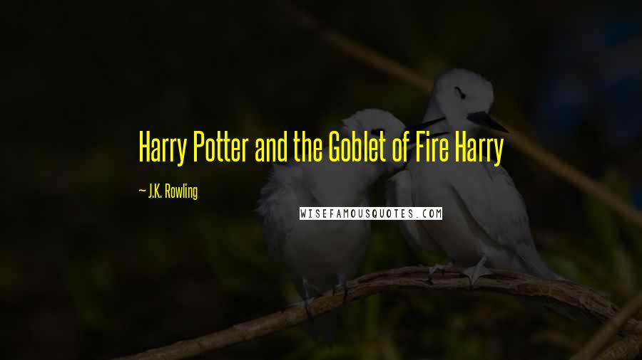 J.K. Rowling Quotes: Harry Potter and the Goblet of Fire Harry