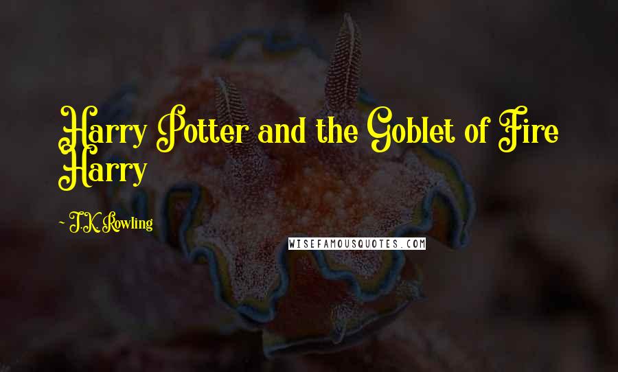 J.K. Rowling Quotes: Harry Potter and the Goblet of Fire Harry