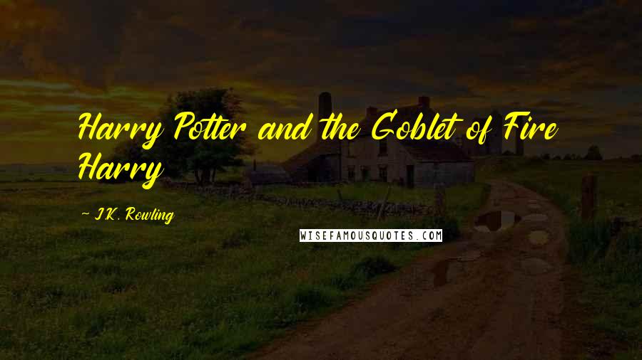 J.K. Rowling Quotes: Harry Potter and the Goblet of Fire Harry