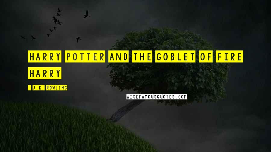 J.K. Rowling Quotes: Harry Potter and the Goblet of Fire Harry