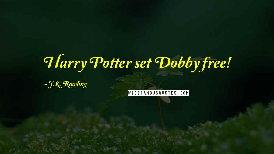 J.K. Rowling Quotes: Harry Potter set Dobby free!