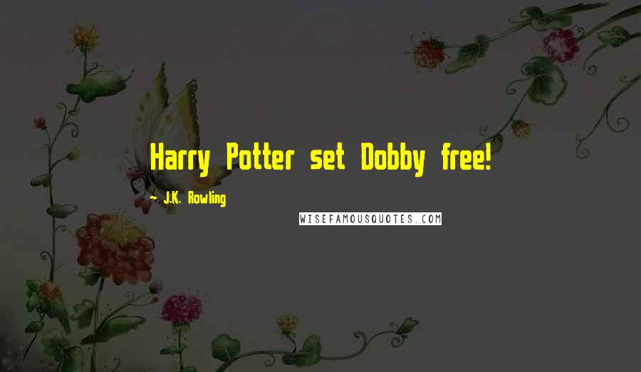 J.K. Rowling Quotes: Harry Potter set Dobby free!