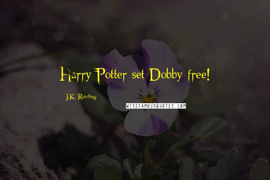 J.K. Rowling Quotes: Harry Potter set Dobby free!