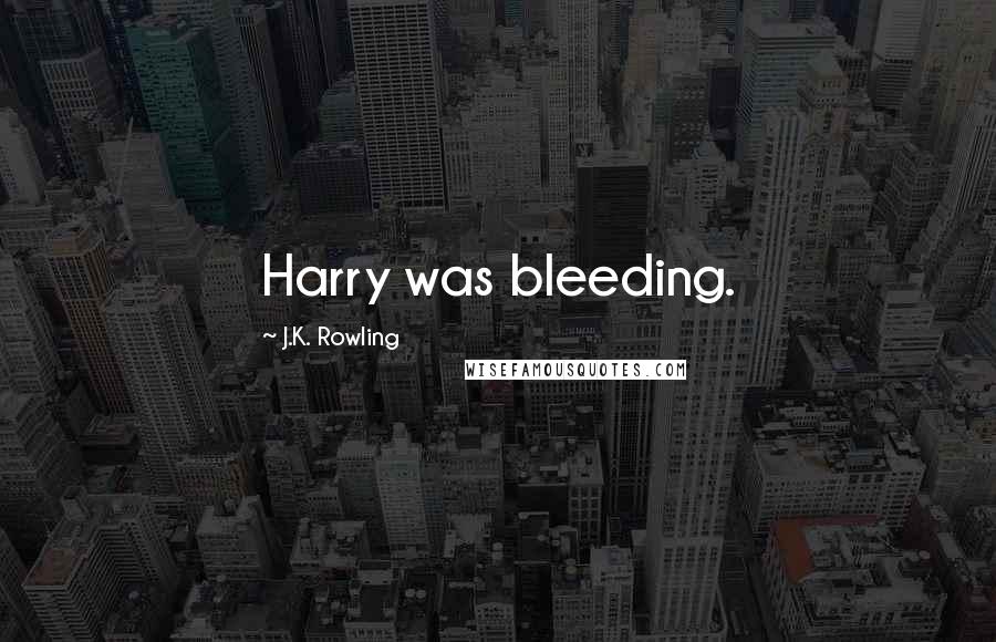 J.K. Rowling Quotes: Harry was bleeding.