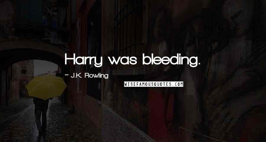 J.K. Rowling Quotes: Harry was bleeding.