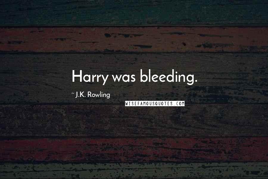 J.K. Rowling Quotes: Harry was bleeding.