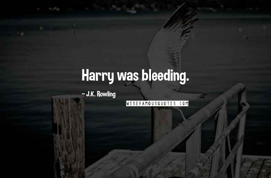 J.K. Rowling Quotes: Harry was bleeding.