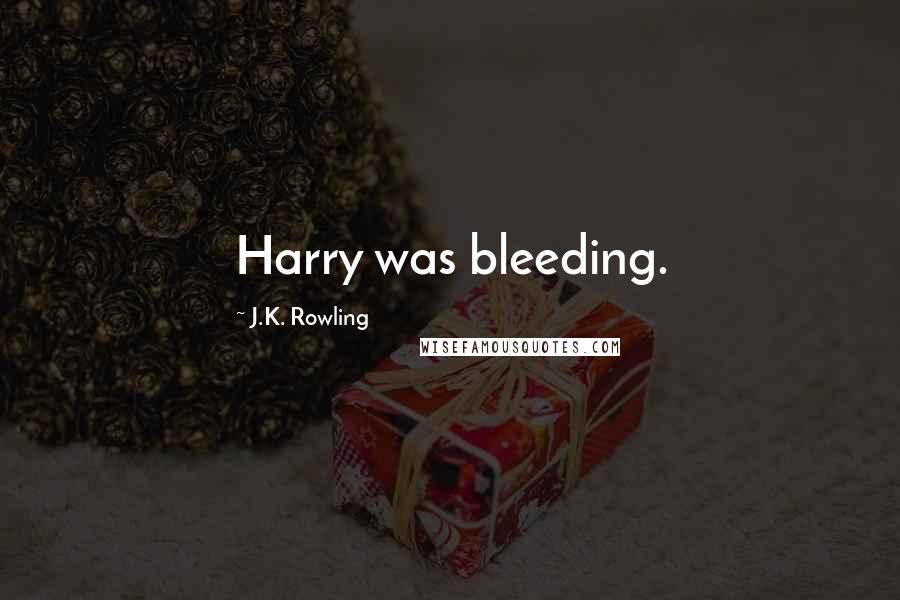 J.K. Rowling Quotes: Harry was bleeding.