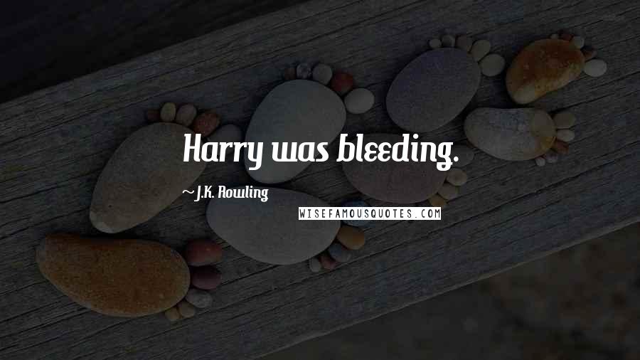 J.K. Rowling Quotes: Harry was bleeding.