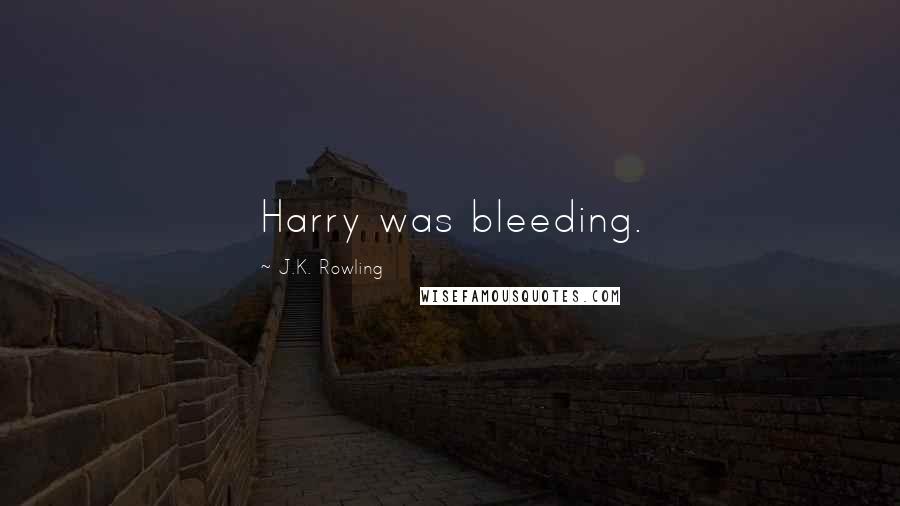 J.K. Rowling Quotes: Harry was bleeding.