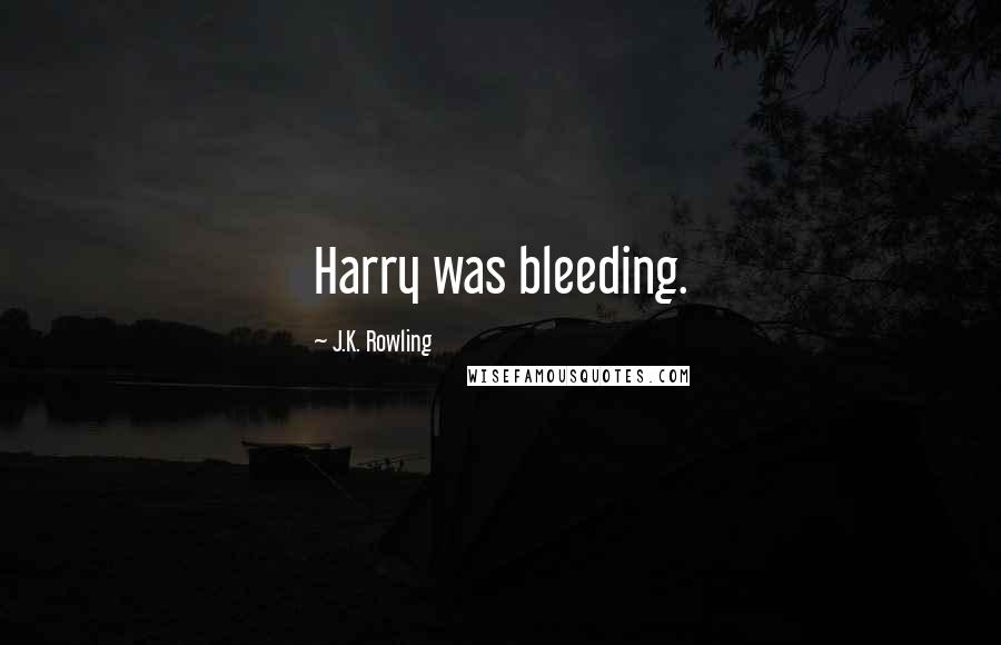 J.K. Rowling Quotes: Harry was bleeding.