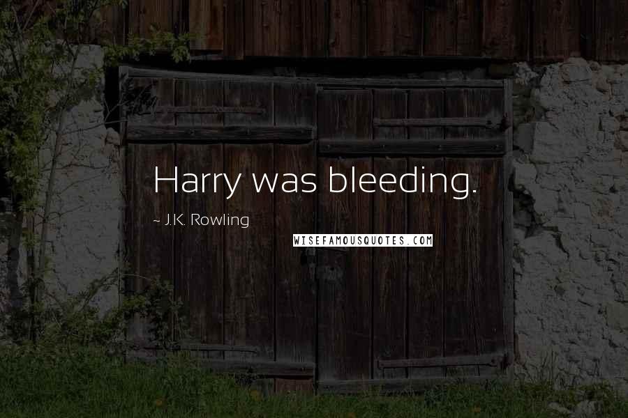 J.K. Rowling Quotes: Harry was bleeding.