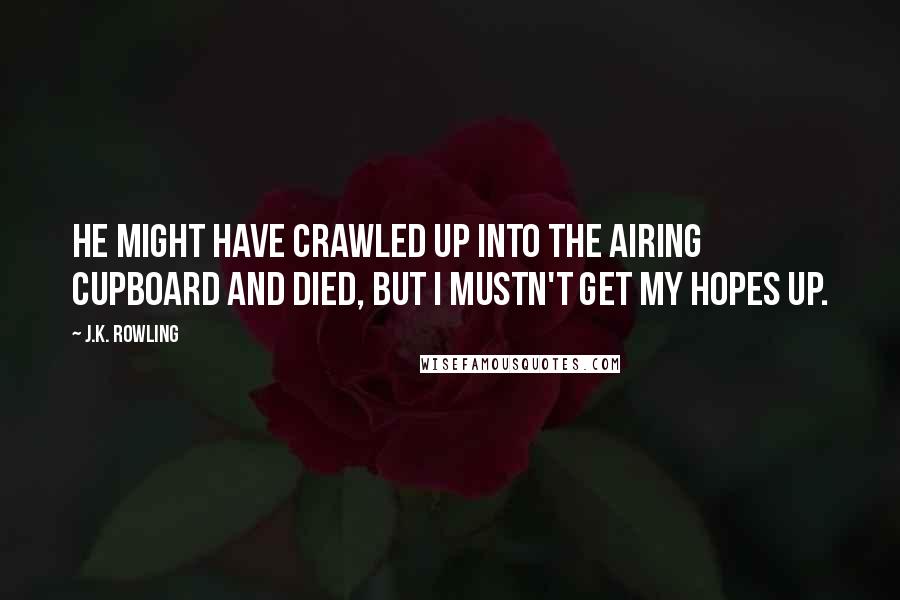 J.K. Rowling Quotes: He might have crawled up into the airing cupboard and died, but I mustn't get my hopes up.