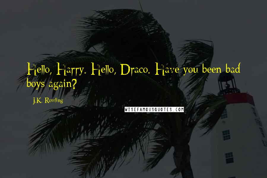 J.K. Rowling Quotes: Hello, Harry. Hello, Draco. Have you been bad boys again?