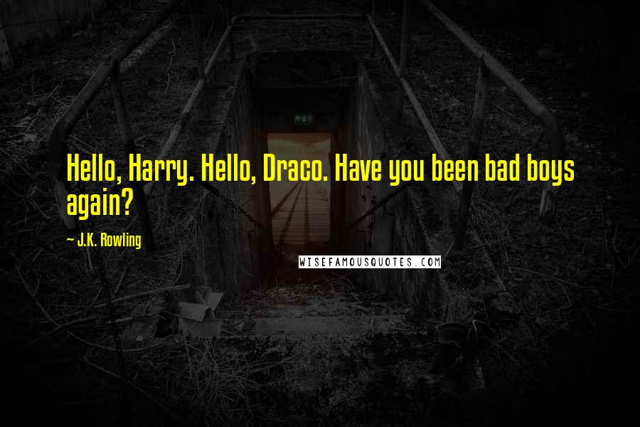 J.K. Rowling Quotes: Hello, Harry. Hello, Draco. Have you been bad boys again?