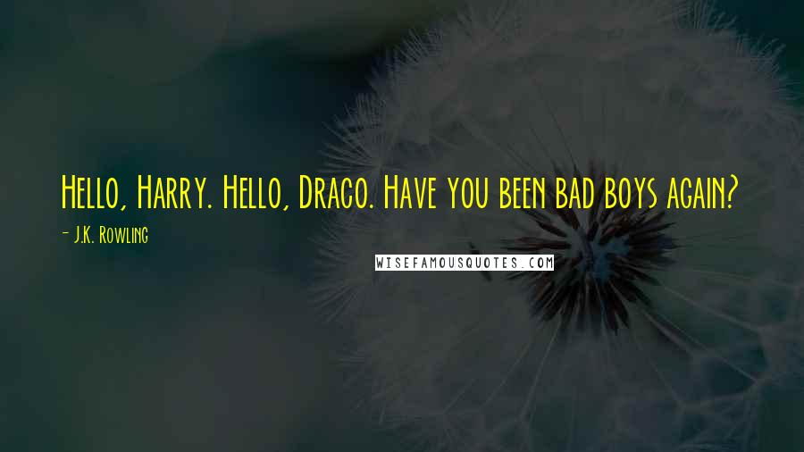 J.K. Rowling Quotes: Hello, Harry. Hello, Draco. Have you been bad boys again?