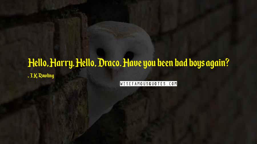 J.K. Rowling Quotes: Hello, Harry. Hello, Draco. Have you been bad boys again?
