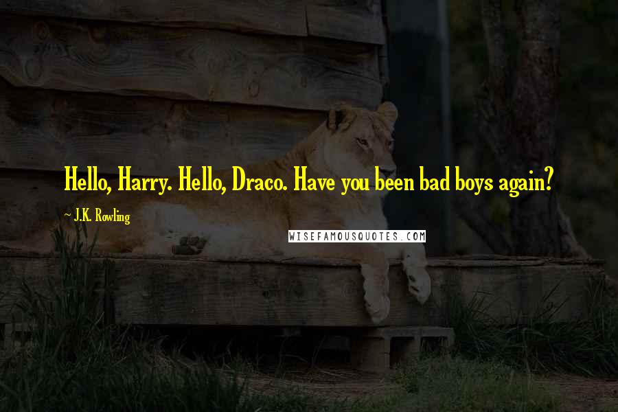 J.K. Rowling Quotes: Hello, Harry. Hello, Draco. Have you been bad boys again?