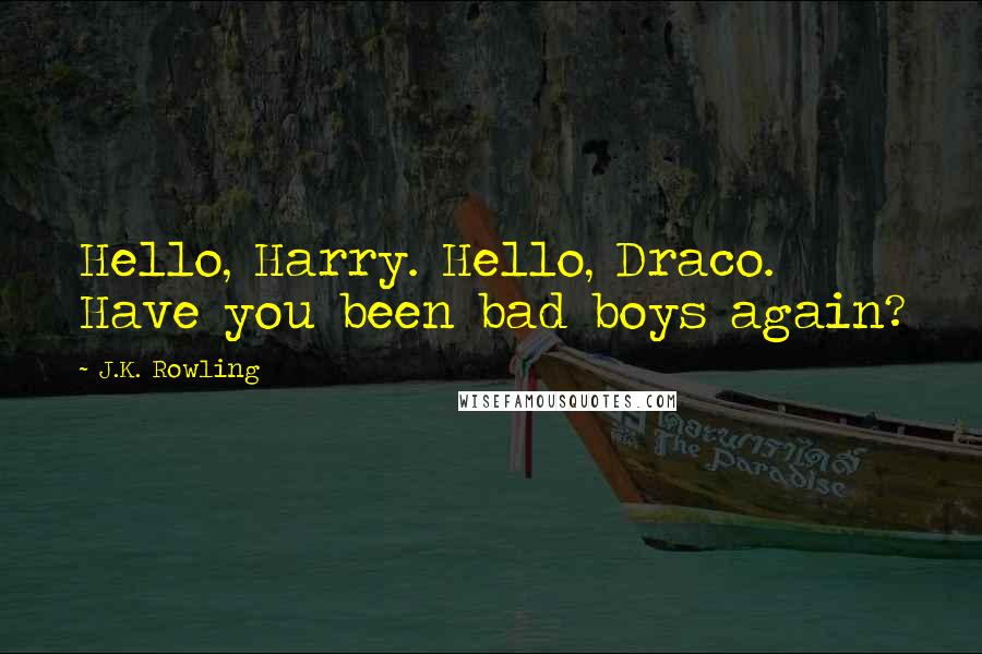 J.K. Rowling Quotes: Hello, Harry. Hello, Draco. Have you been bad boys again?