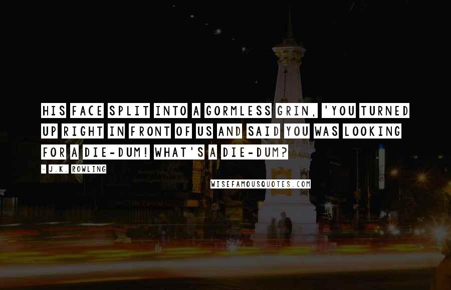 J.K. Rowling Quotes: his face split into a gormless grin, 'you turned up right in front of us and said you was looking for a die-dum! What's a die-dum?
