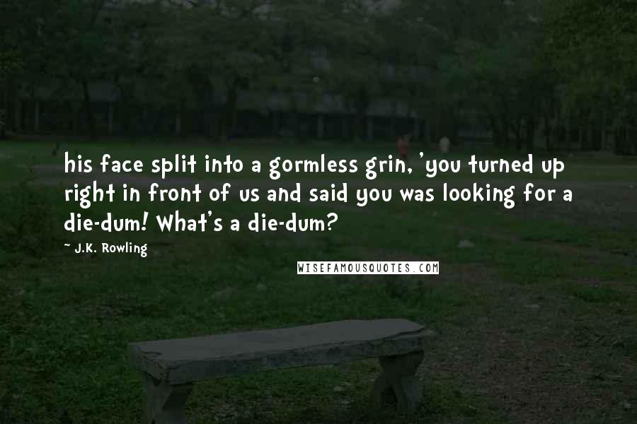 J.K. Rowling Quotes: his face split into a gormless grin, 'you turned up right in front of us and said you was looking for a die-dum! What's a die-dum?