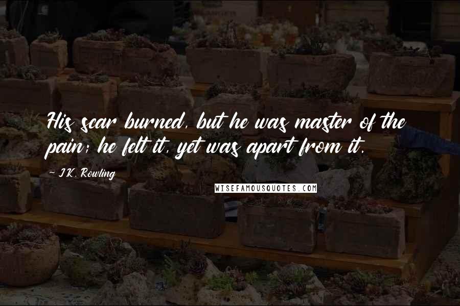 J.K. Rowling Quotes: His scar burned, but he was master of the pain; he felt it, yet was apart from it.