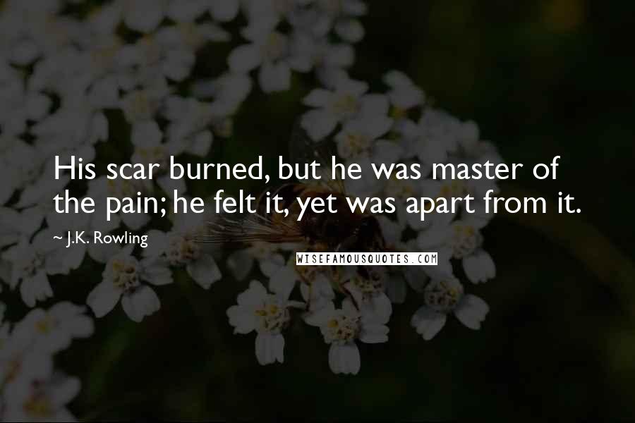 J.K. Rowling Quotes: His scar burned, but he was master of the pain; he felt it, yet was apart from it.