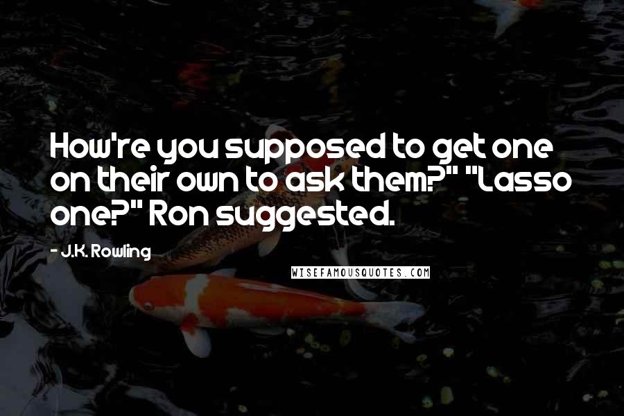 J.K. Rowling Quotes: How're you supposed to get one on their own to ask them?" "Lasso one?" Ron suggested.