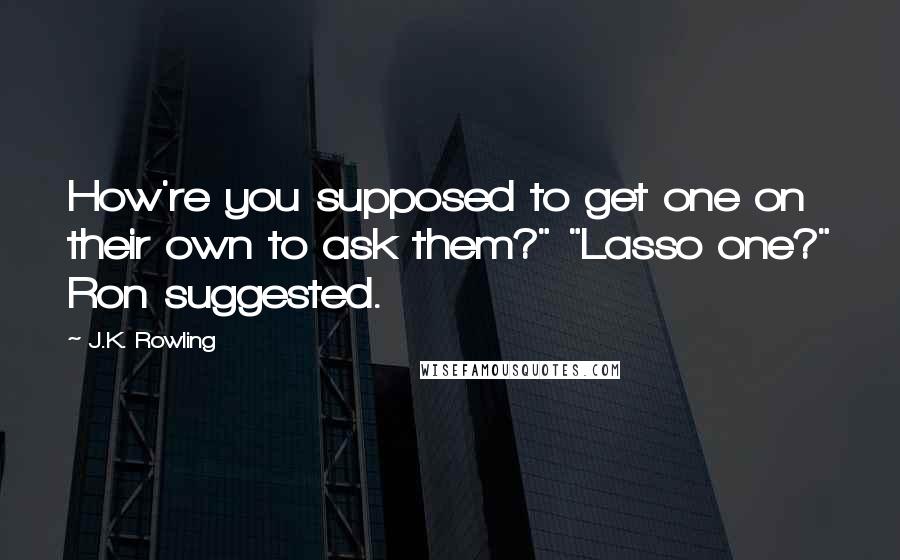 J.K. Rowling Quotes: How're you supposed to get one on their own to ask them?" "Lasso one?" Ron suggested.