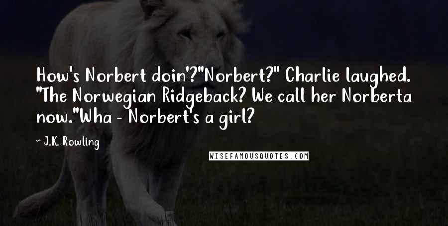 J.K. Rowling Quotes: How's Norbert doin'?"Norbert?" Charlie laughed. "The Norwegian Ridgeback? We call her Norberta now."Wha - Norbert's a girl?