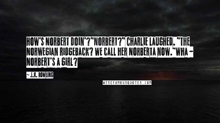 J.K. Rowling Quotes: How's Norbert doin'?"Norbert?" Charlie laughed. "The Norwegian Ridgeback? We call her Norberta now."Wha - Norbert's a girl?