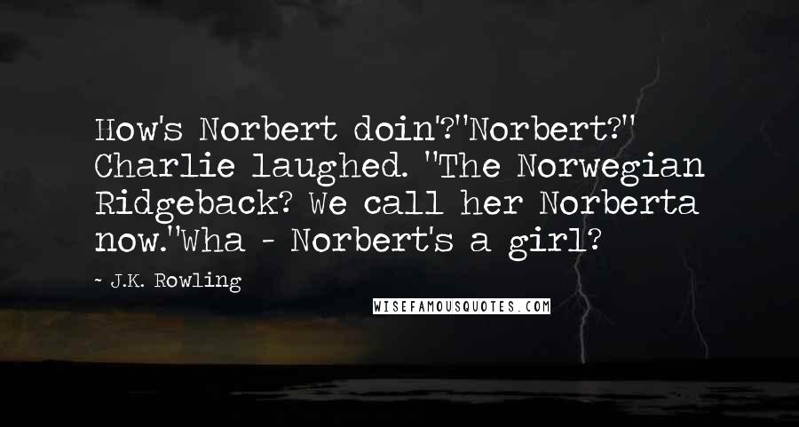 J.K. Rowling Quotes: How's Norbert doin'?"Norbert?" Charlie laughed. "The Norwegian Ridgeback? We call her Norberta now."Wha - Norbert's a girl?