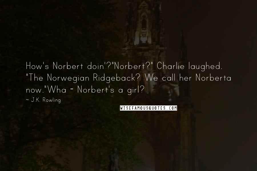 J.K. Rowling Quotes: How's Norbert doin'?"Norbert?" Charlie laughed. "The Norwegian Ridgeback? We call her Norberta now."Wha - Norbert's a girl?