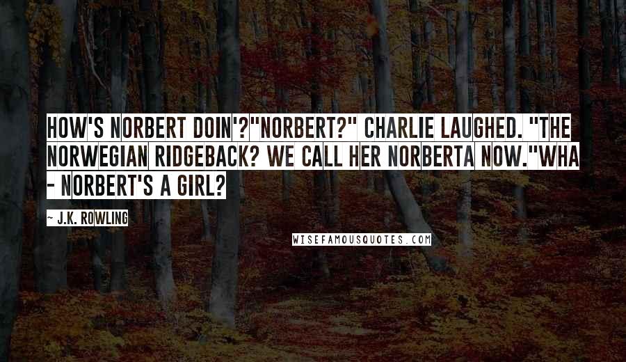 J.K. Rowling Quotes: How's Norbert doin'?"Norbert?" Charlie laughed. "The Norwegian Ridgeback? We call her Norberta now."Wha - Norbert's a girl?