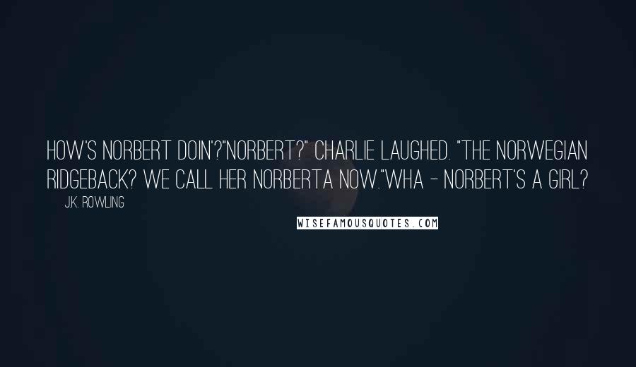 J.K. Rowling Quotes: How's Norbert doin'?"Norbert?" Charlie laughed. "The Norwegian Ridgeback? We call her Norberta now."Wha - Norbert's a girl?