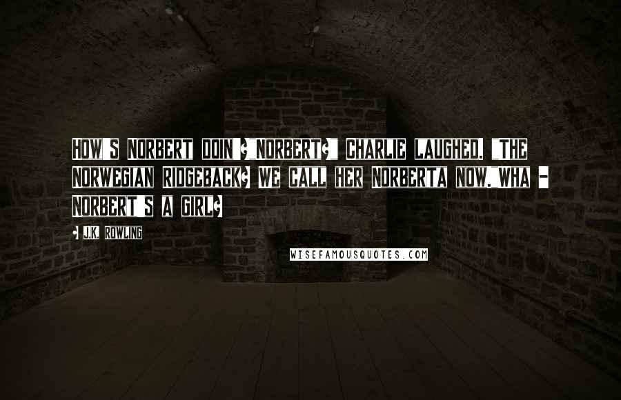 J.K. Rowling Quotes: How's Norbert doin'?"Norbert?" Charlie laughed. "The Norwegian Ridgeback? We call her Norberta now."Wha - Norbert's a girl?