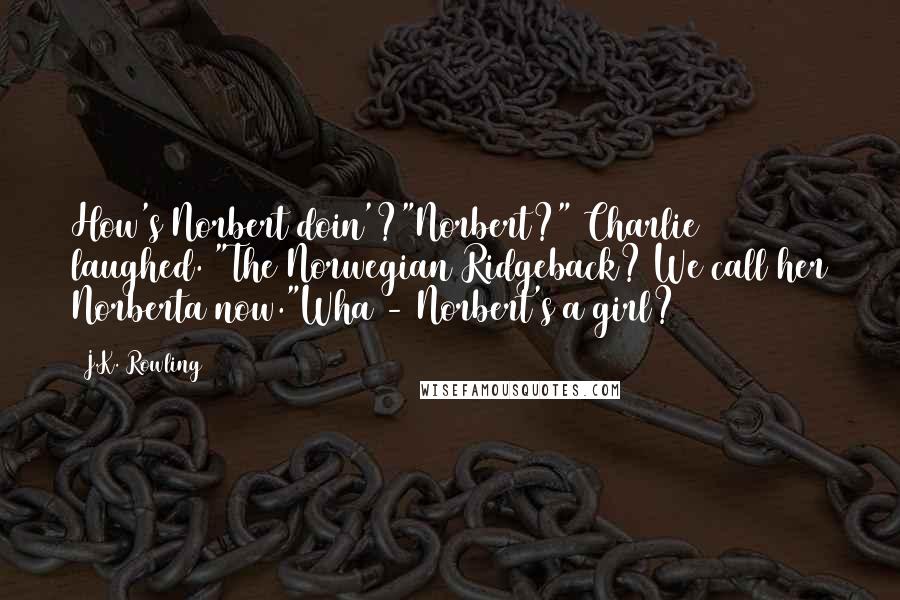 J.K. Rowling Quotes: How's Norbert doin'?"Norbert?" Charlie laughed. "The Norwegian Ridgeback? We call her Norberta now."Wha - Norbert's a girl?