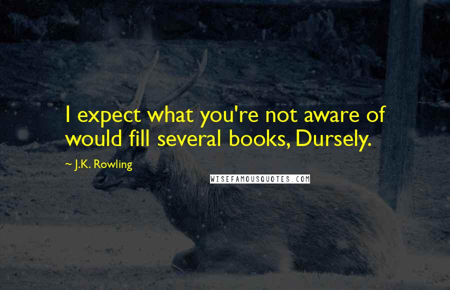 J.K. Rowling Quotes: I expect what you're not aware of would fill several books, Dursely.