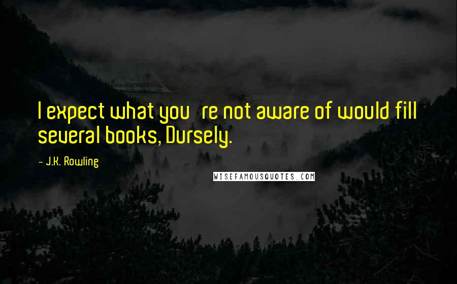 J.K. Rowling Quotes: I expect what you're not aware of would fill several books, Dursely.