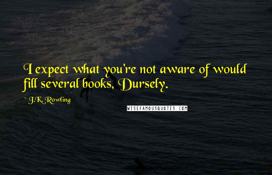 J.K. Rowling Quotes: I expect what you're not aware of would fill several books, Dursely.