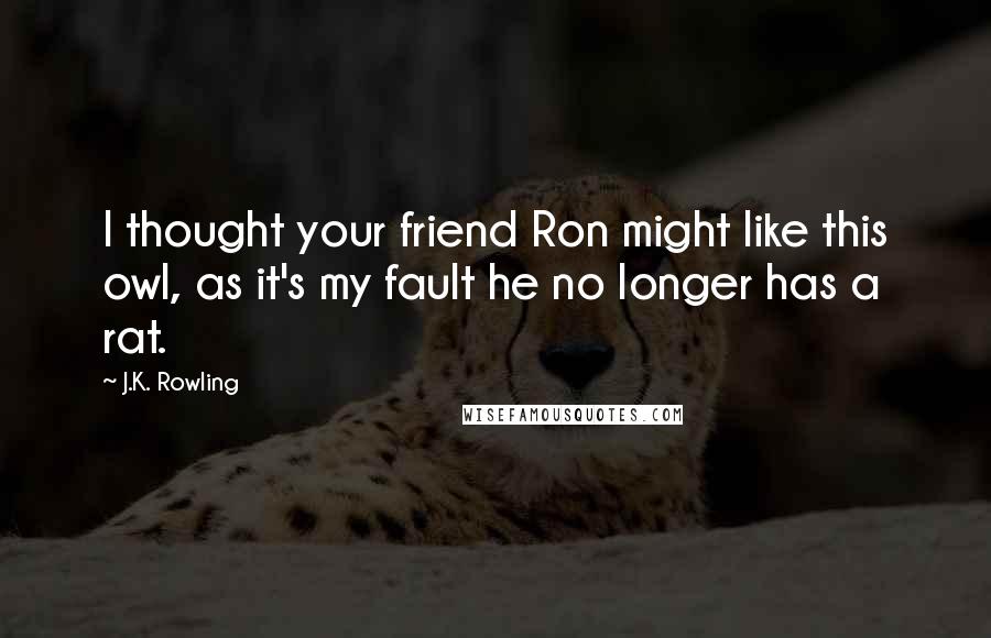 J.K. Rowling Quotes: I thought your friend Ron might like this owl, as it's my fault he no longer has a rat.