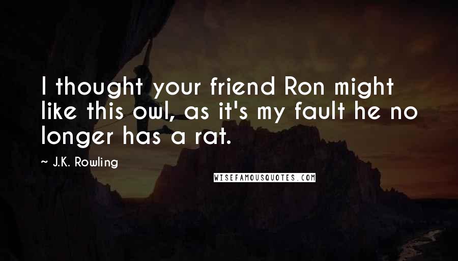 J.K. Rowling Quotes: I thought your friend Ron might like this owl, as it's my fault he no longer has a rat.