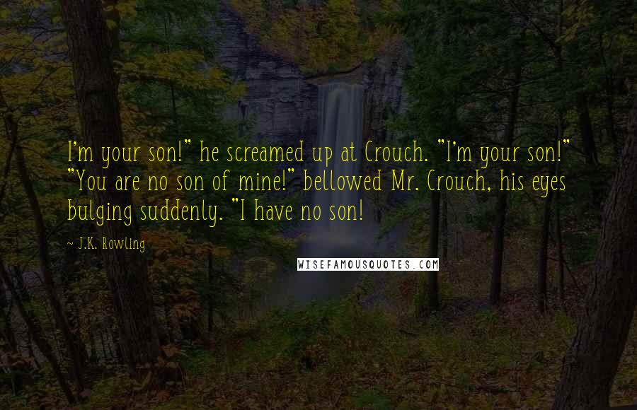 J.K. Rowling Quotes: I'm your son!" he screamed up at Crouch. "I'm your son!" "You are no son of mine!" bellowed Mr. Crouch, his eyes bulging suddenly. "I have no son!