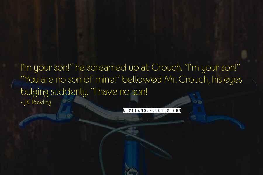 J.K. Rowling Quotes: I'm your son!" he screamed up at Crouch. "I'm your son!" "You are no son of mine!" bellowed Mr. Crouch, his eyes bulging suddenly. "I have no son!