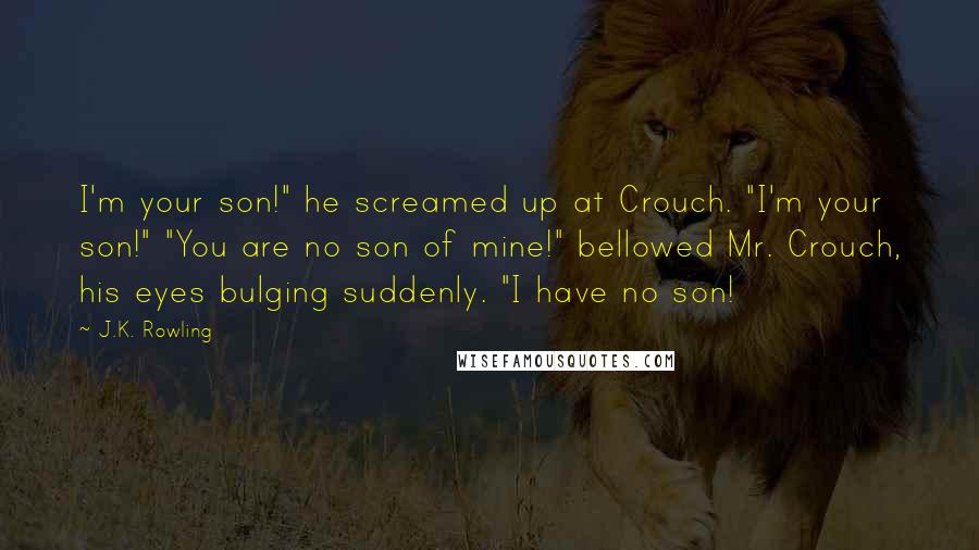 J.K. Rowling Quotes: I'm your son!" he screamed up at Crouch. "I'm your son!" "You are no son of mine!" bellowed Mr. Crouch, his eyes bulging suddenly. "I have no son!